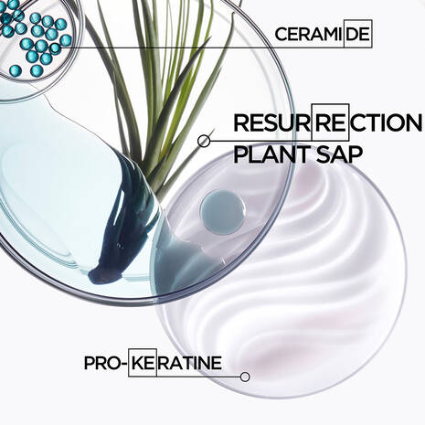 Bain Force Architecte